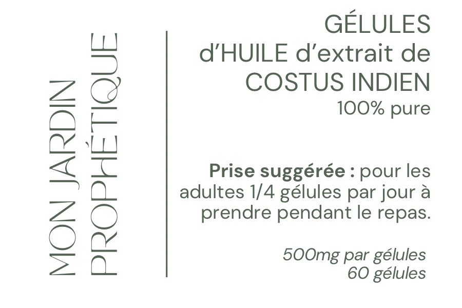 Gélules d’Huile d’Extrait de Costus Indien (boîte de 60)
