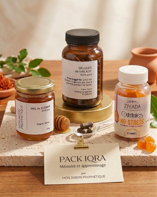 Pack IQRA : Mémoire et Apprentissage