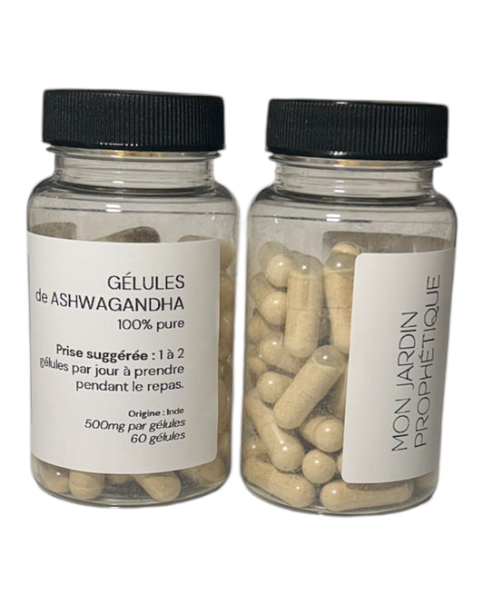 Gélules d’Ashwagandha (boîte de 60)