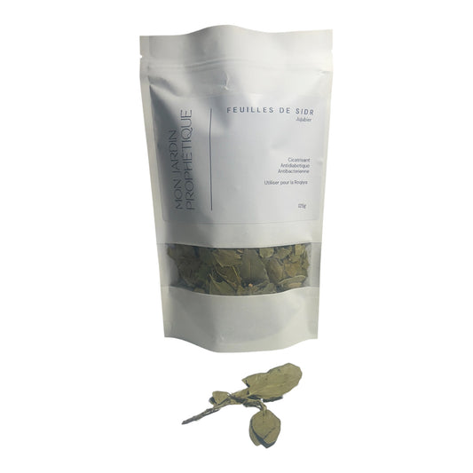 Feuilles de Sidr séchées – 125 g