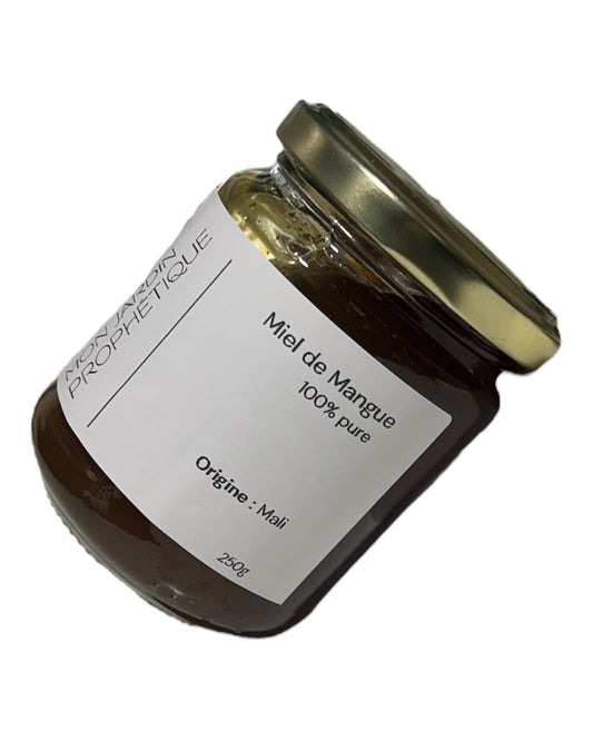 Miel de Mangue - 250g